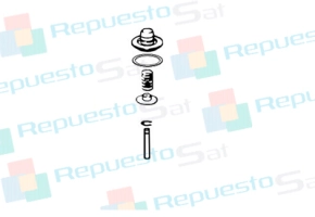 Producto CONJUNTO DE VÁLVULA (200)