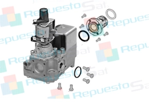 Producto Valvula gas G20