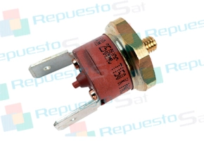 Producto TERMOSTATO 105º