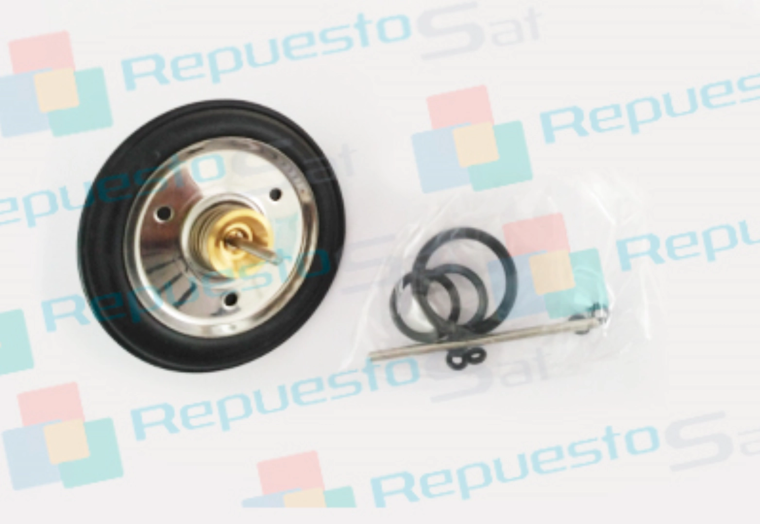 Kit de mantenimiento-membrana